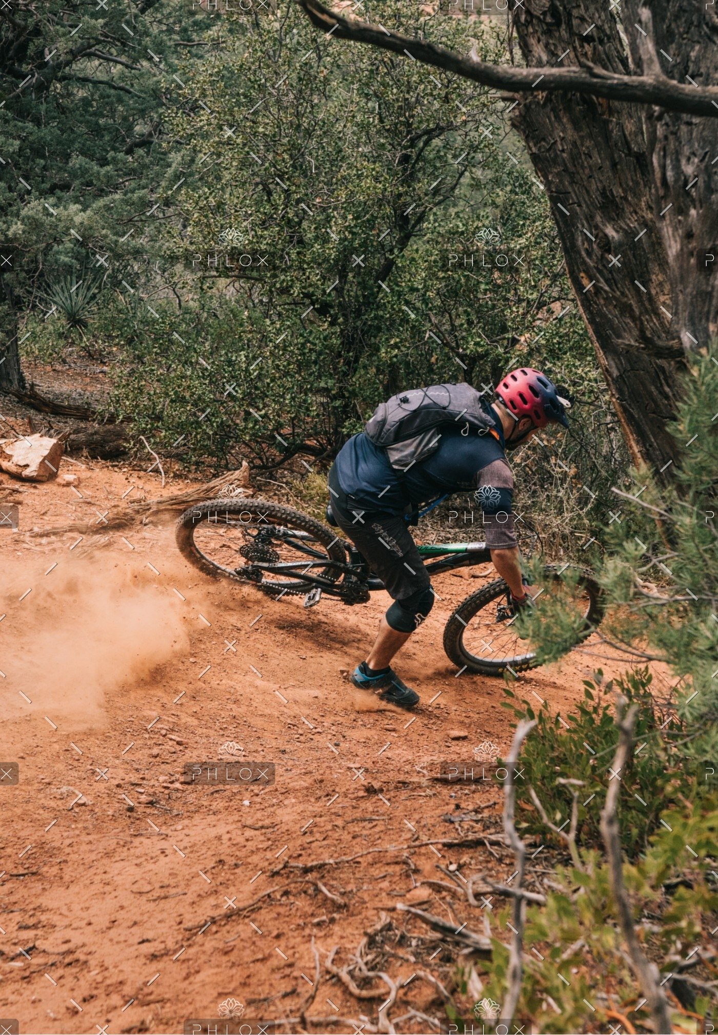 jenson bicycles